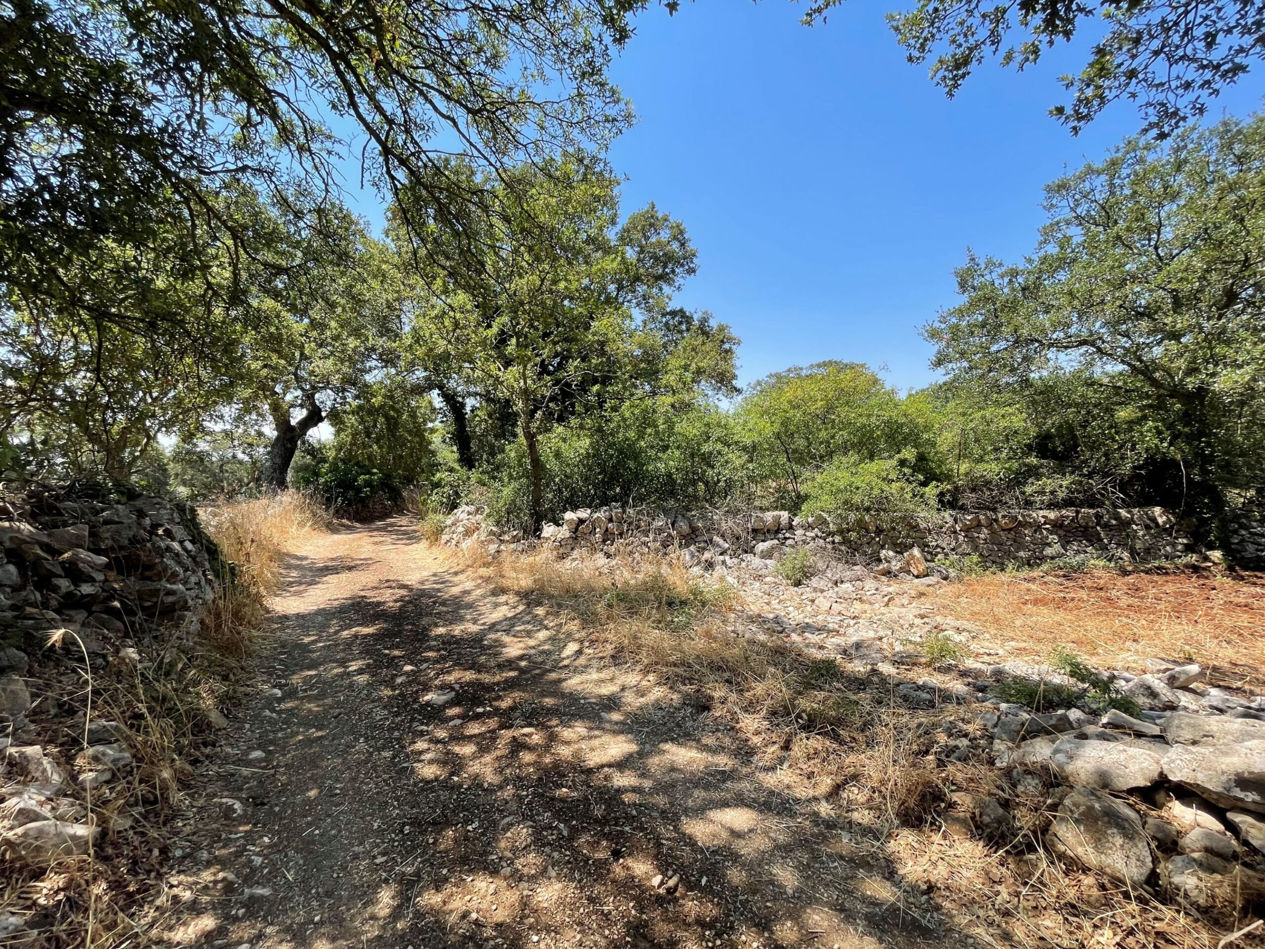 IMG_1257