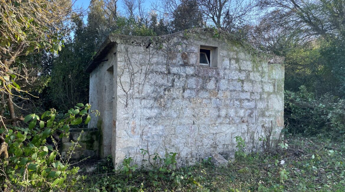 Terreno