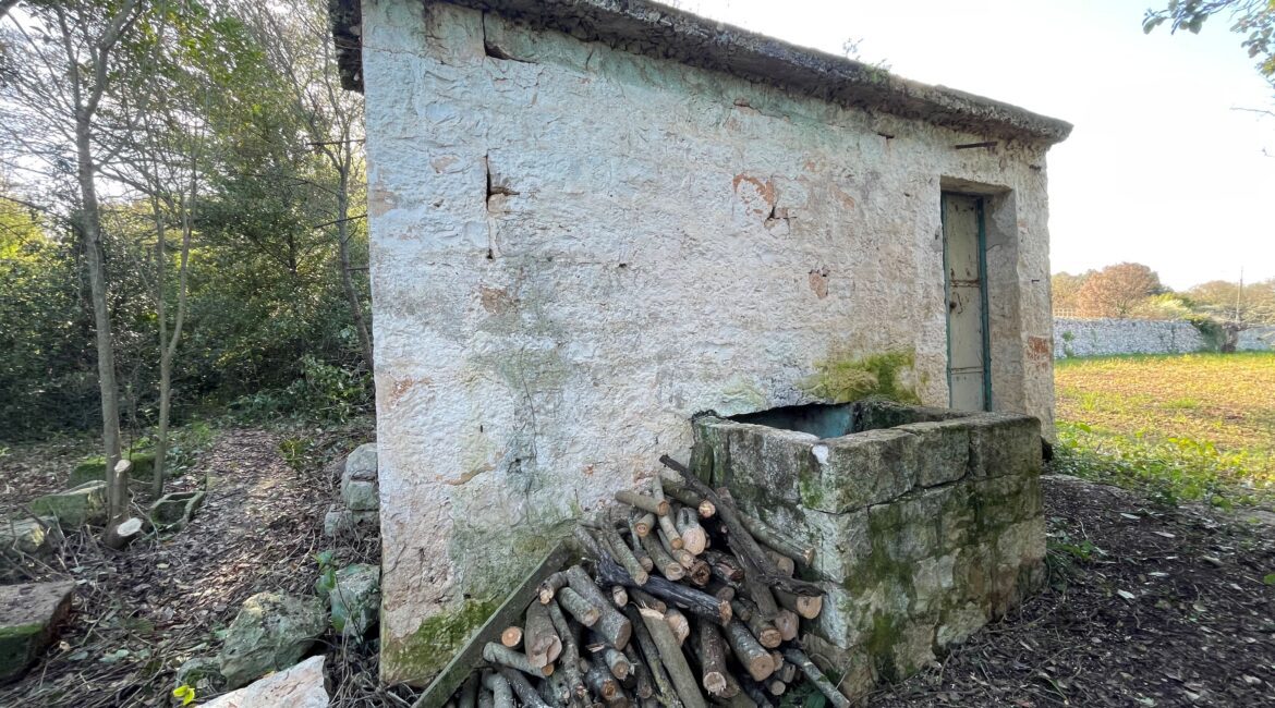 Terreno