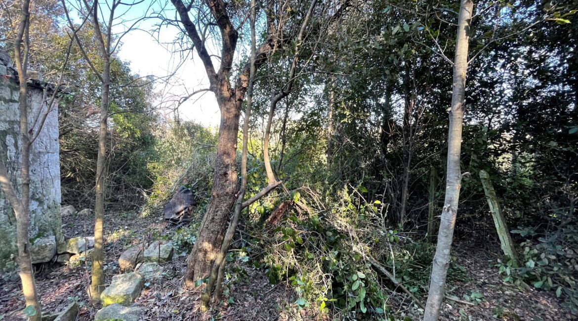 Terreno