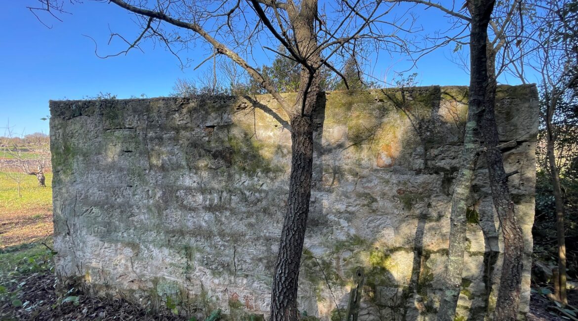 Terreno