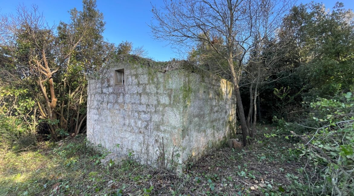 Terreno