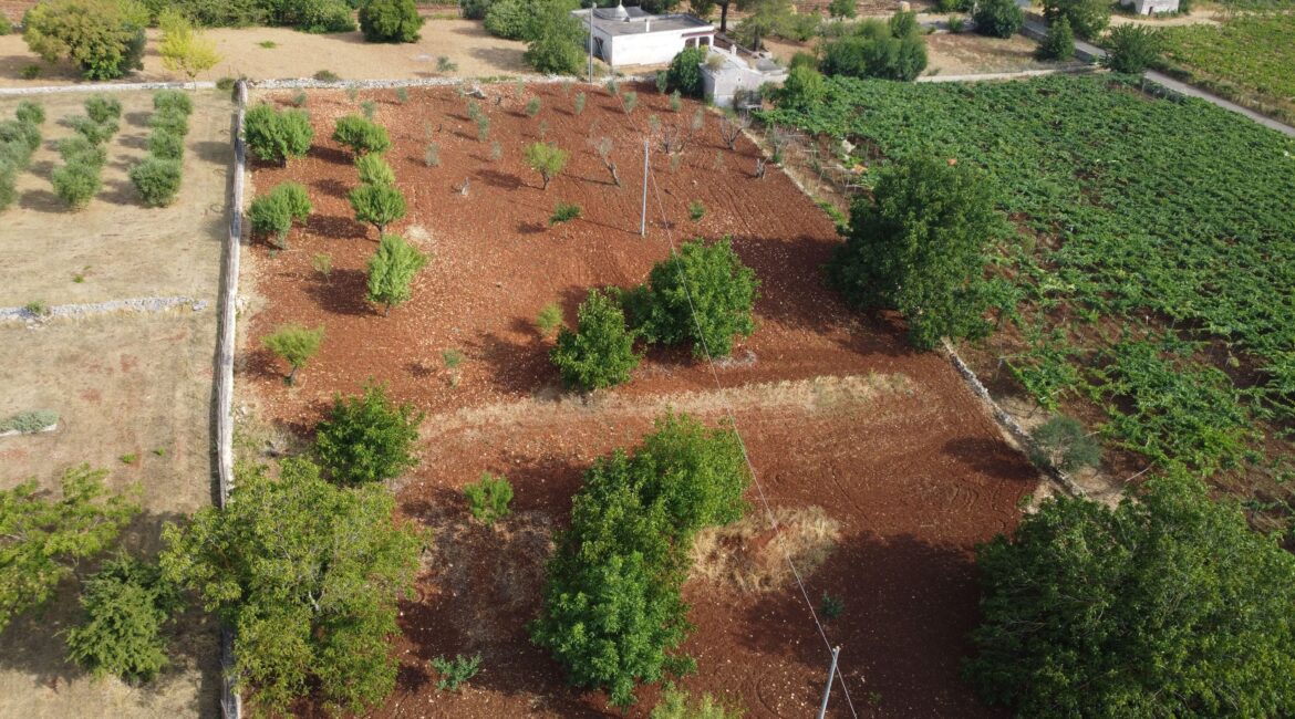 Trullo