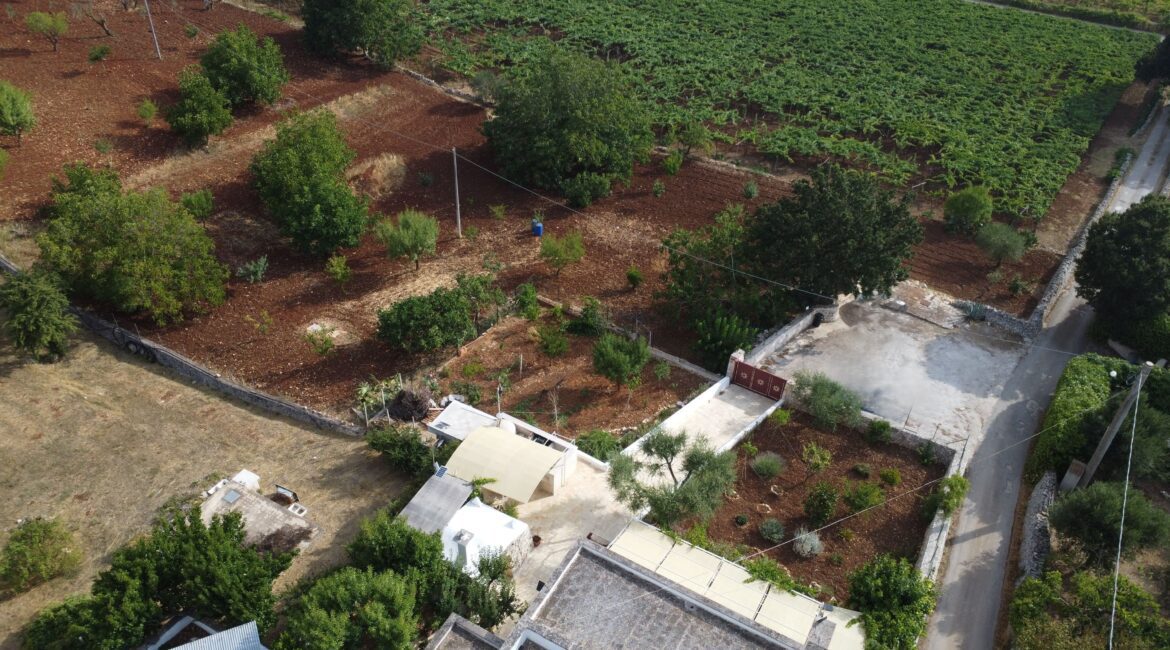 Trullo