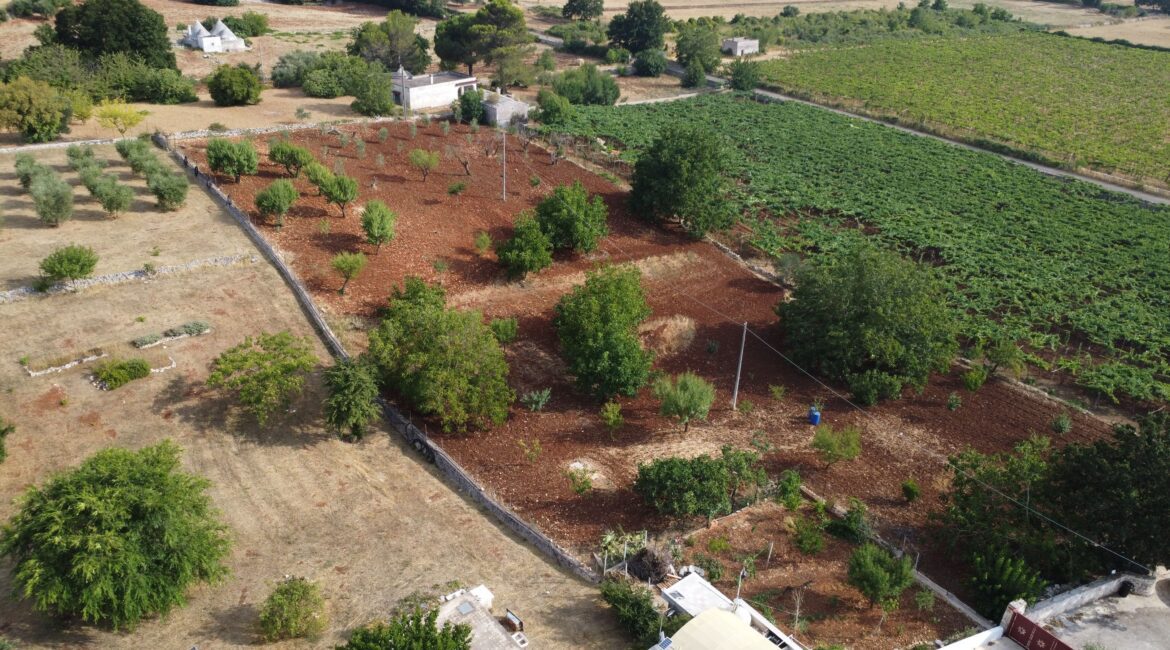 Trullo