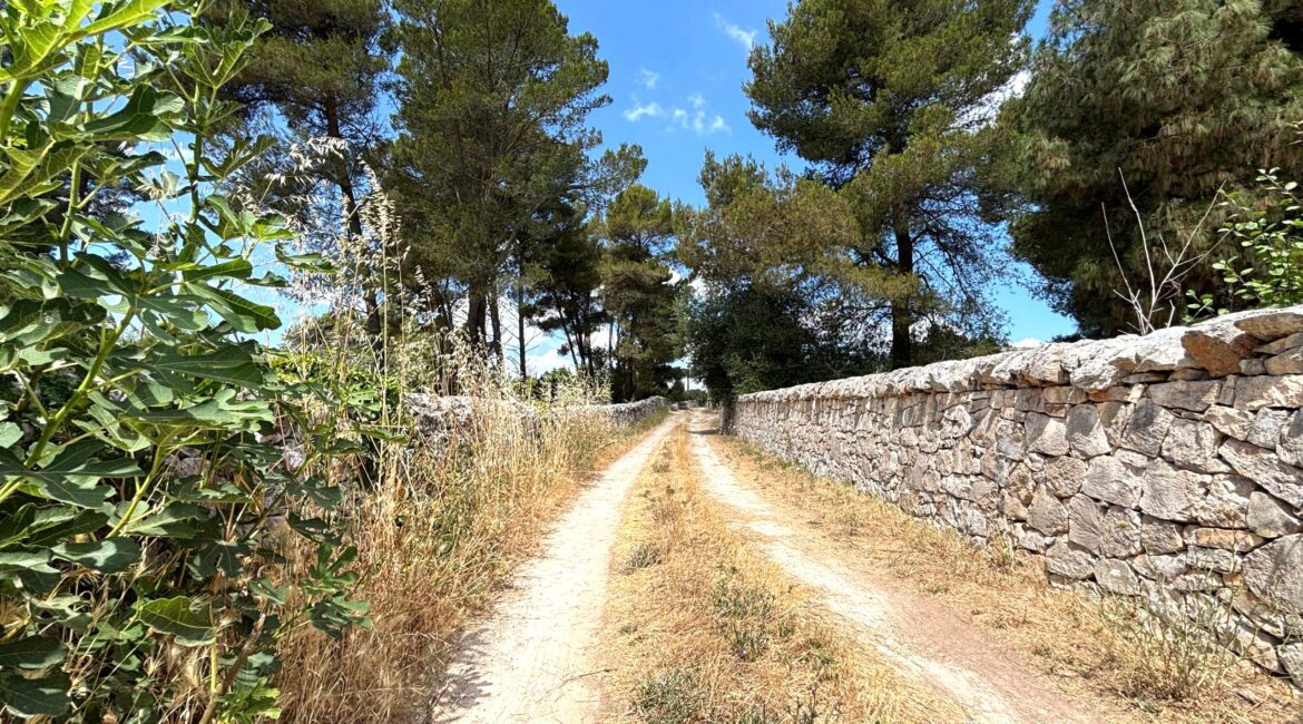 Trulli e Lamia