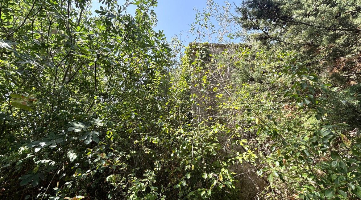 Casa indipendente