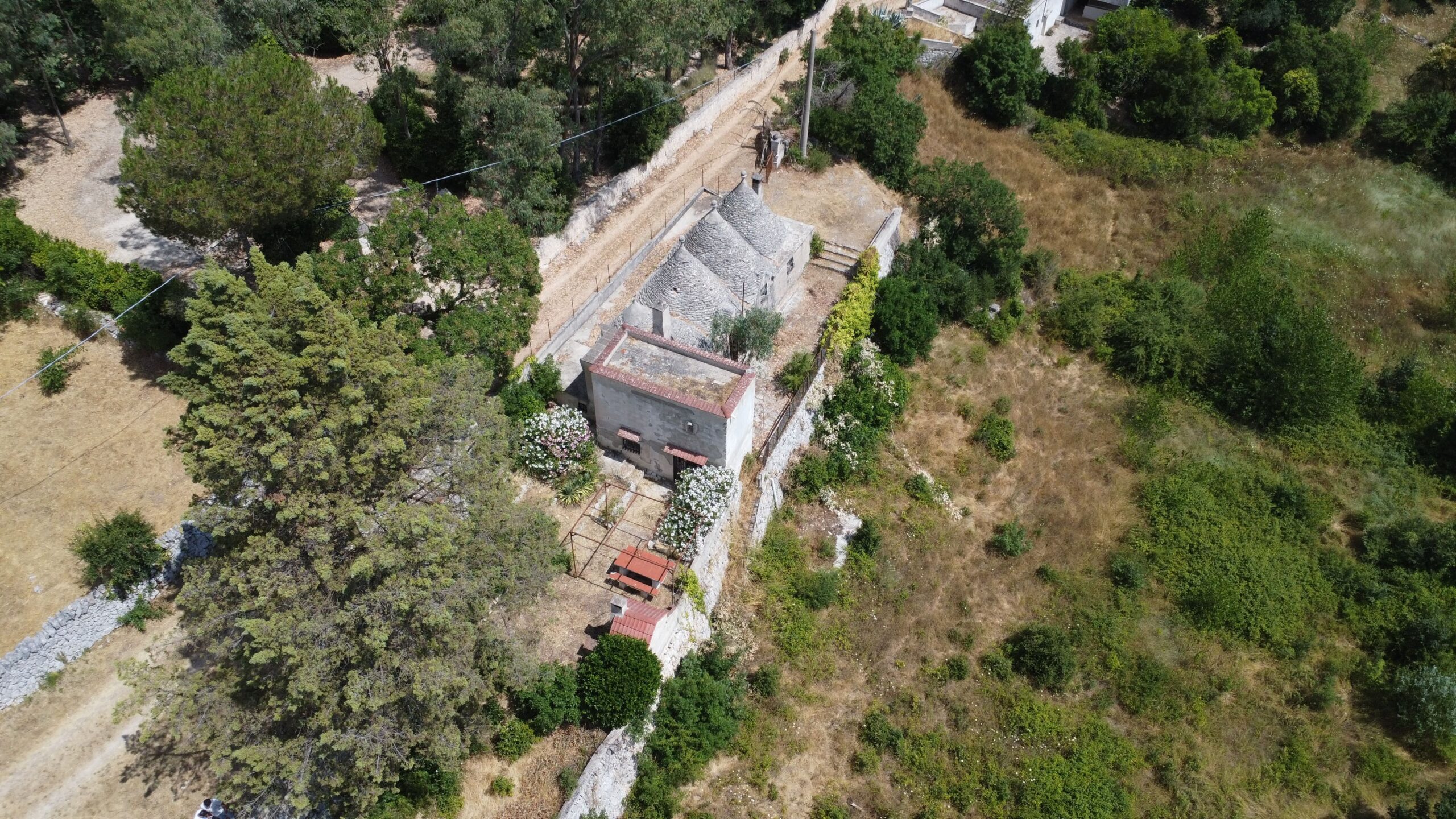 DJI_0699