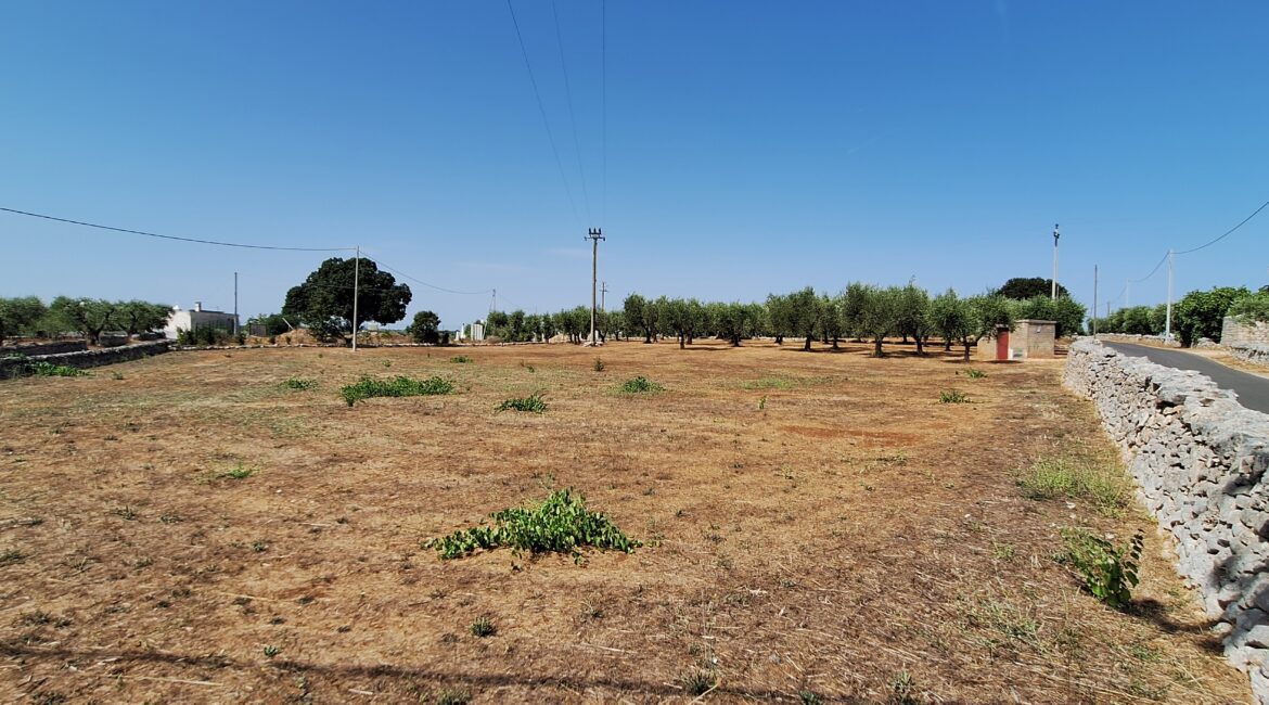 Terreno