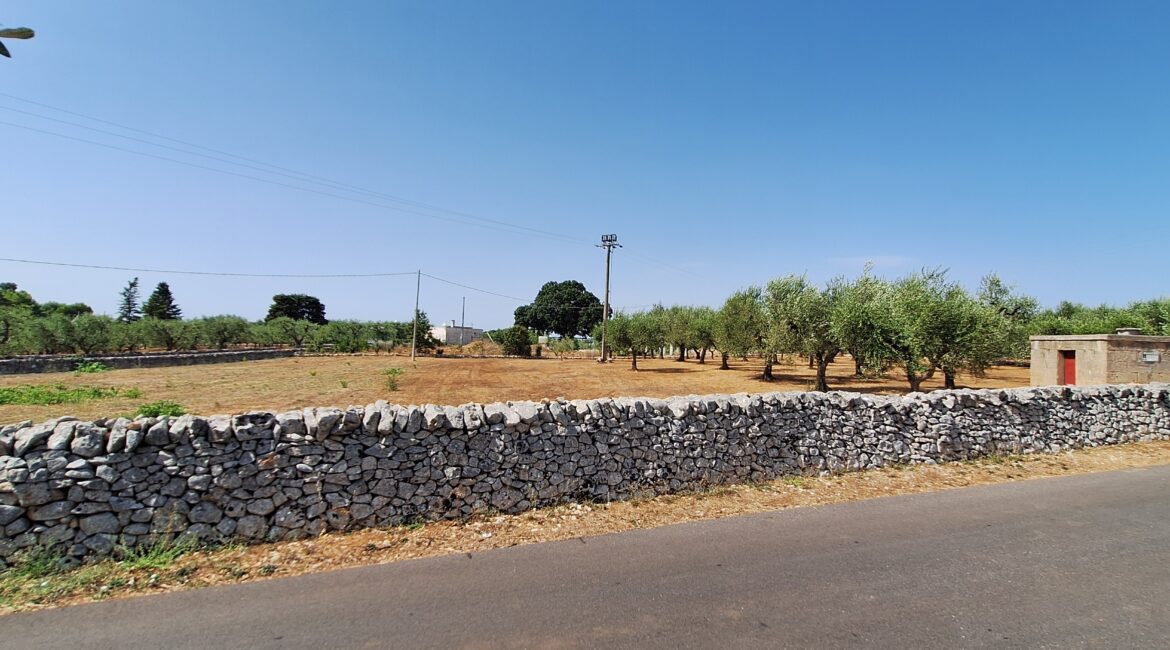 Terreno