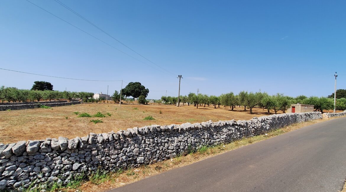 Terreno