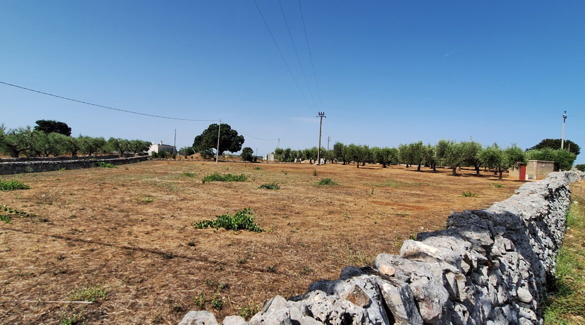 Terreno