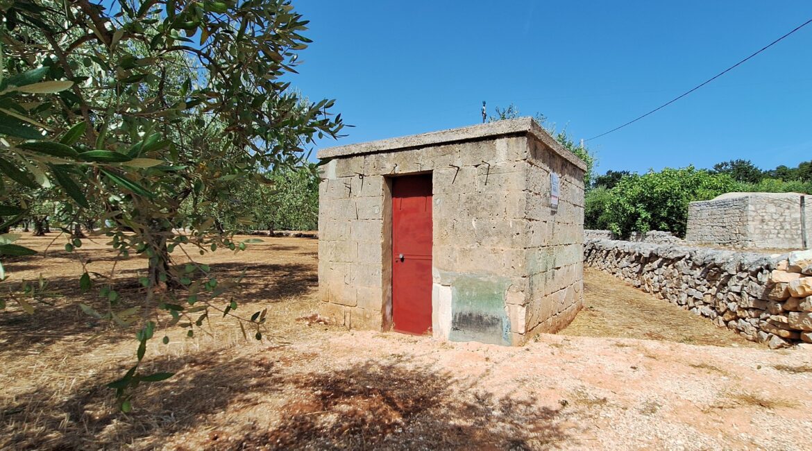 Terreno
