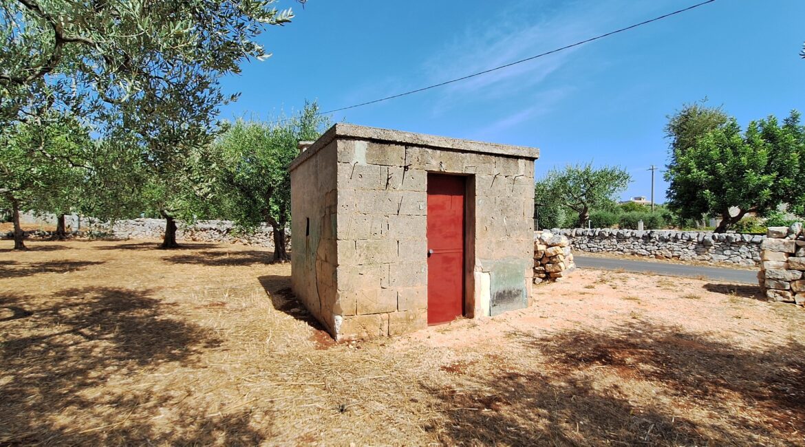 Terreno