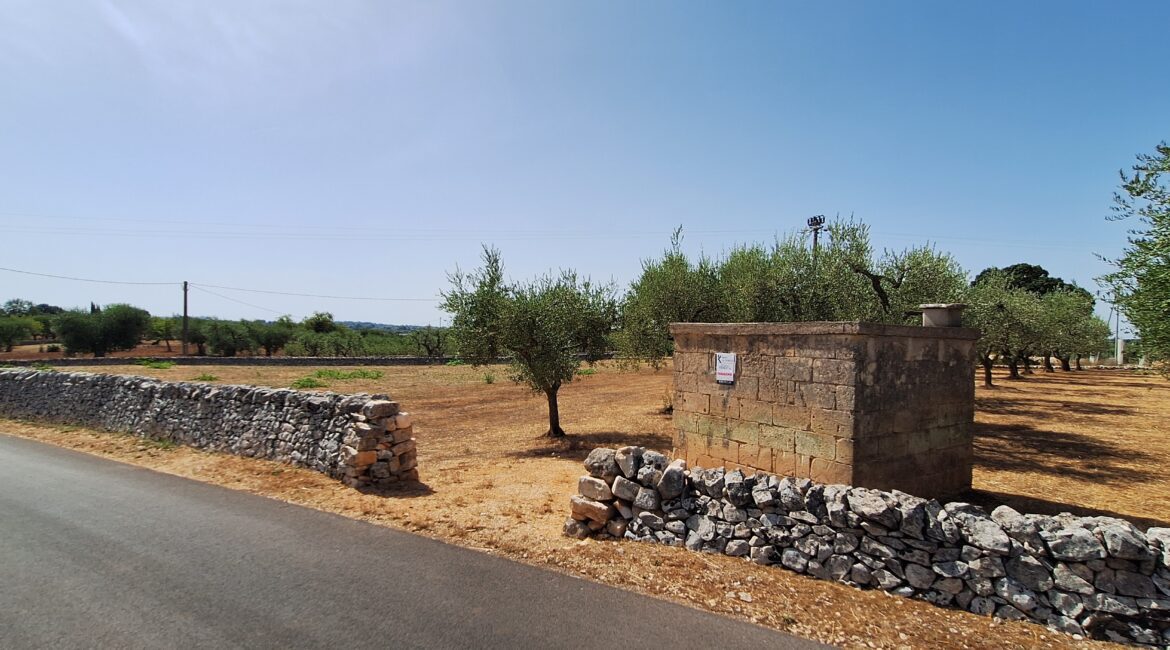 Terreno