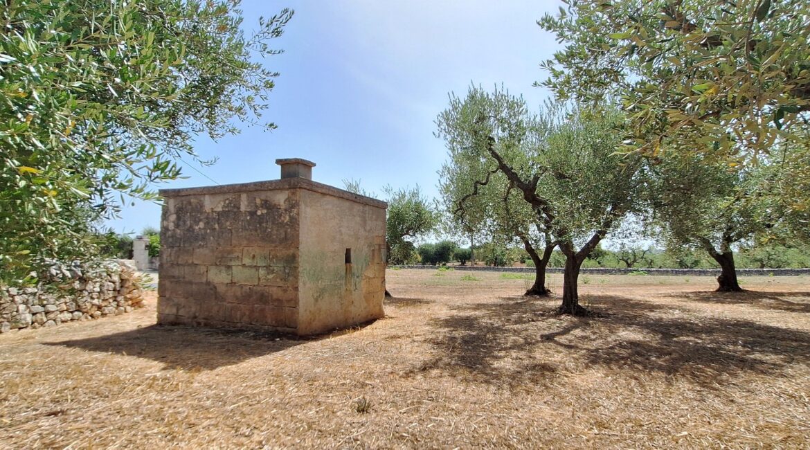 Terreno