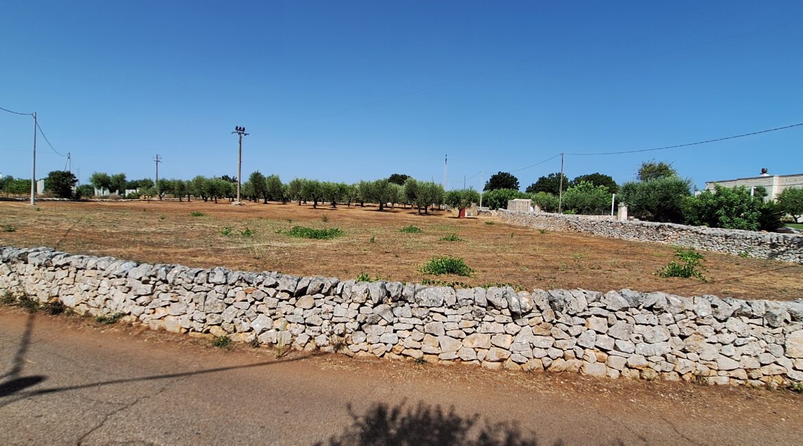 Terreno