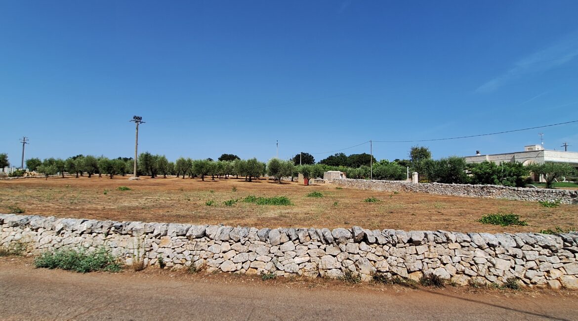 Terreno