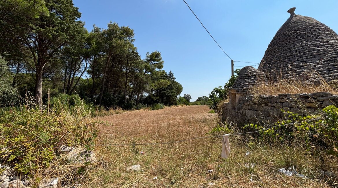Trullo