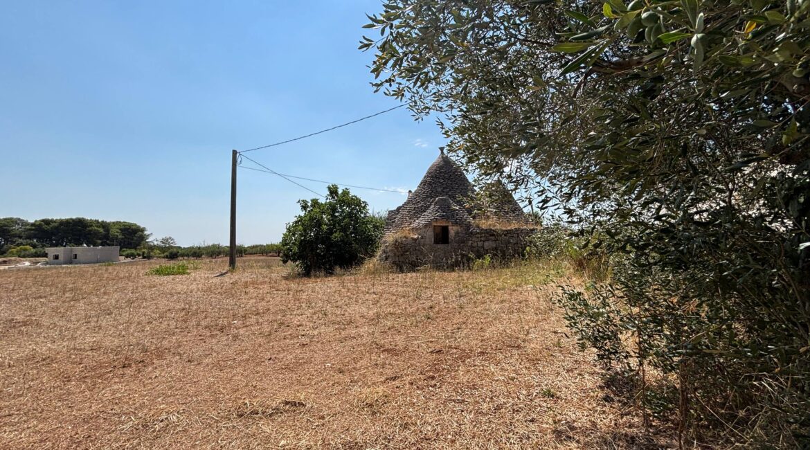 Trullo