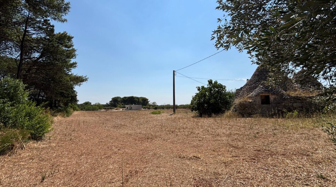 Trullo