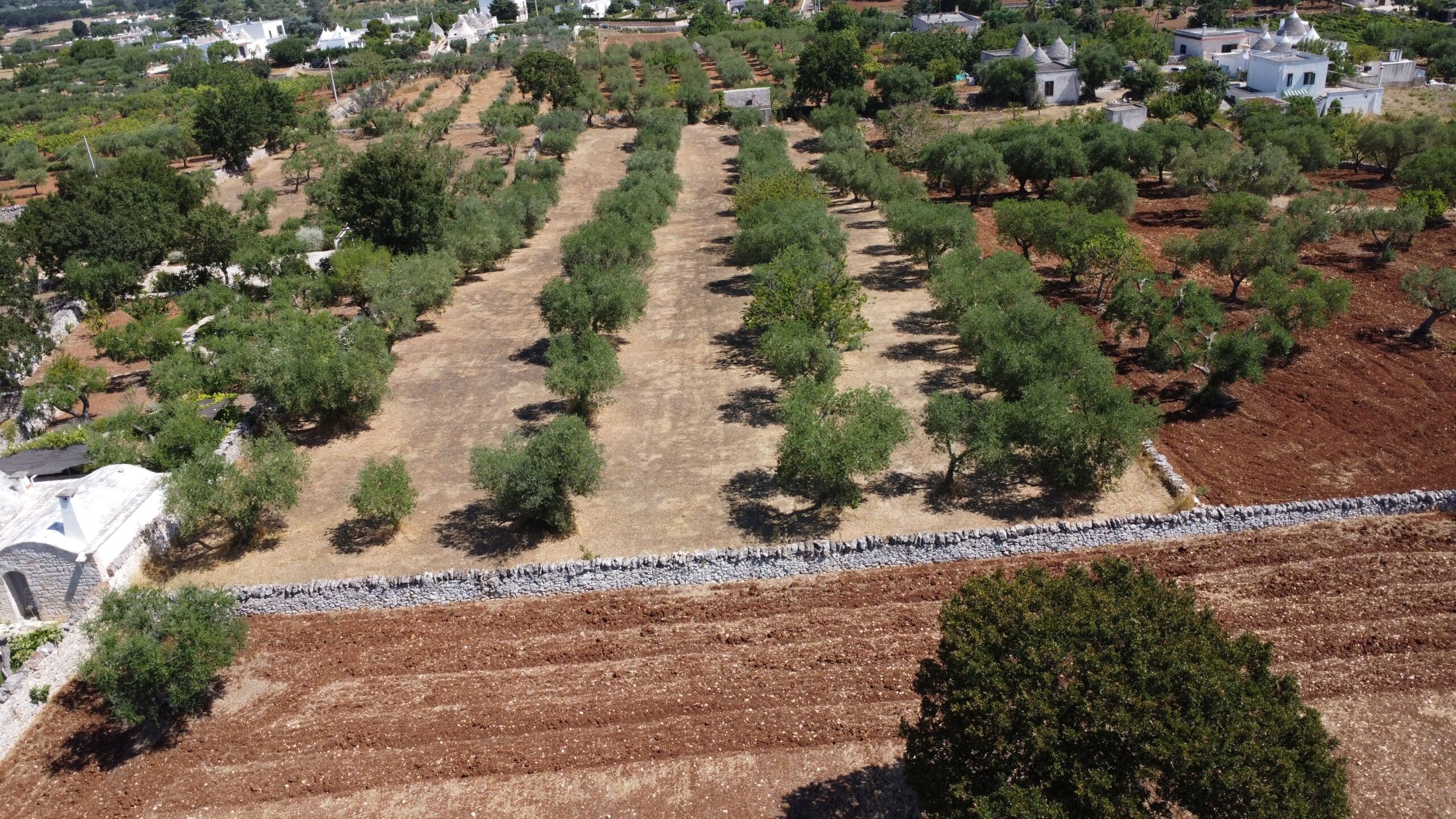 DJI_0244