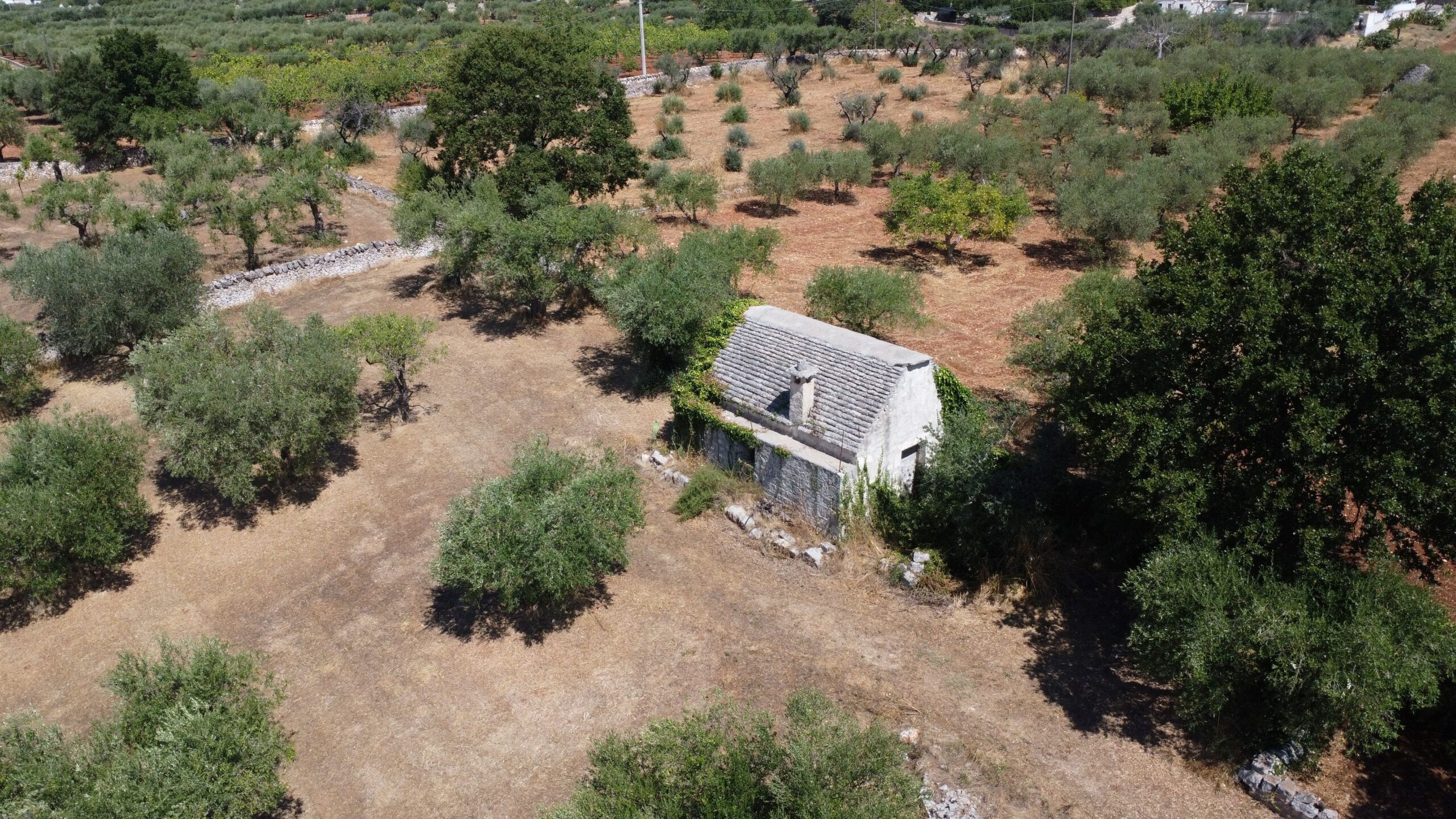 DJI_0247