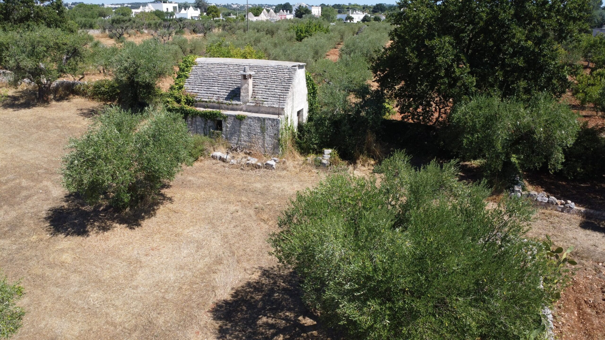 DJI_0249