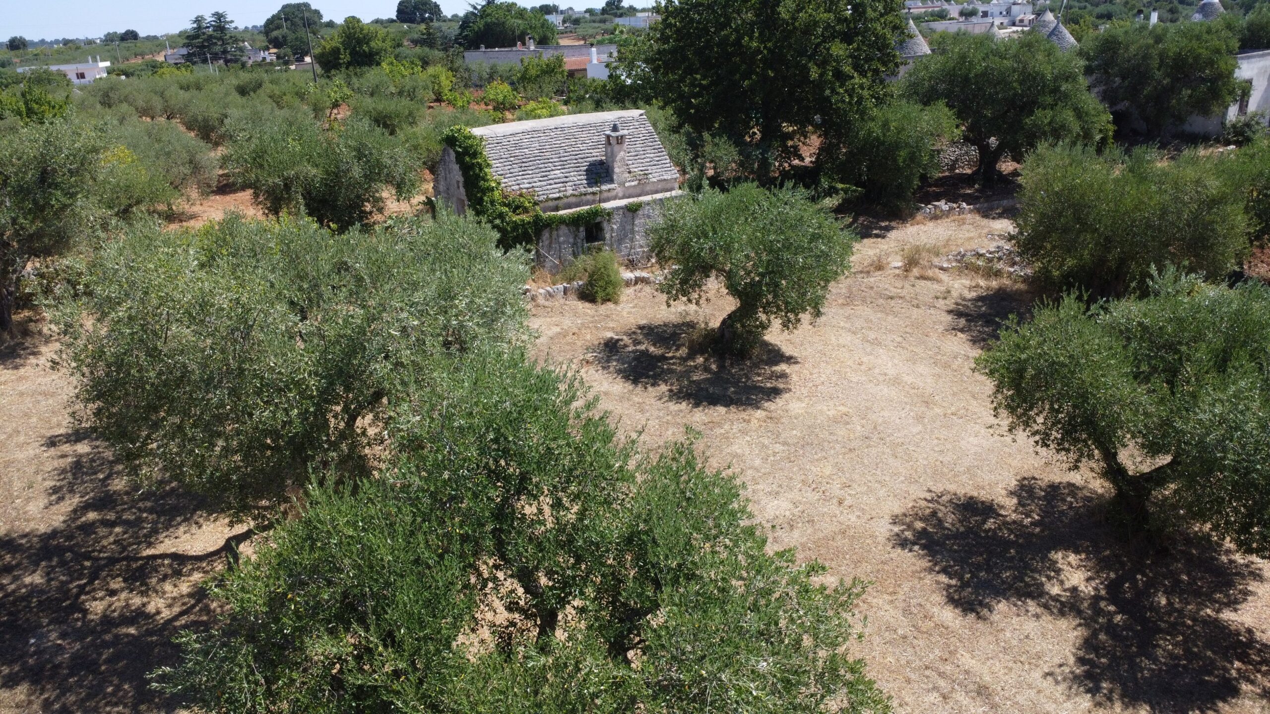 DJI_0251