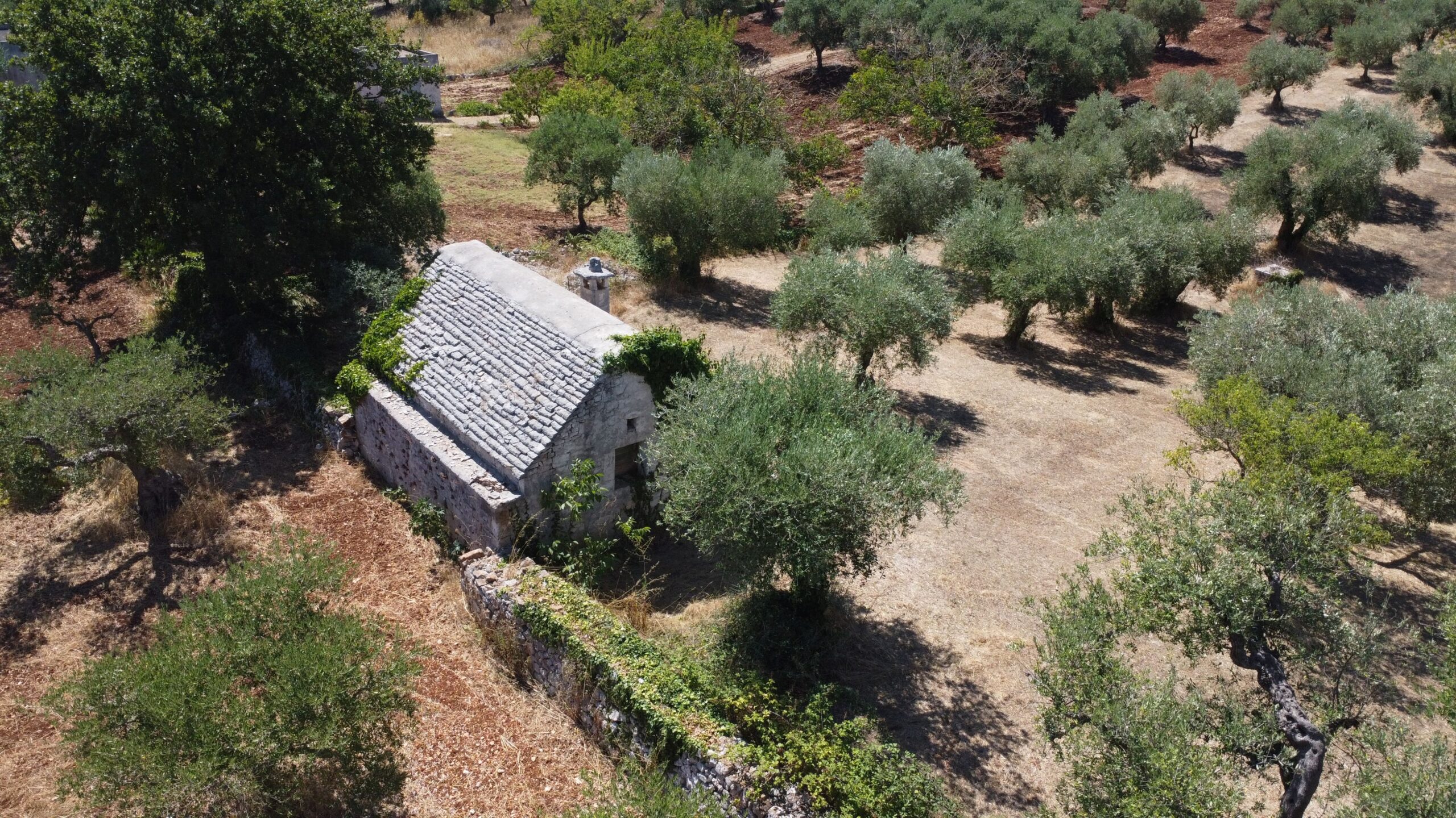 DJI_0254