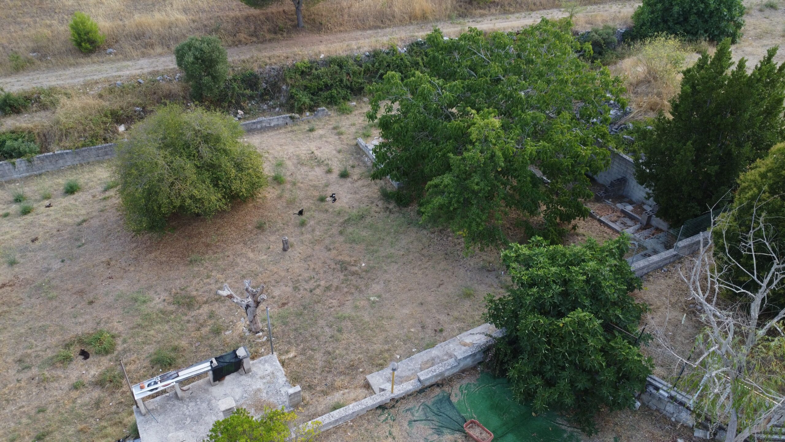 DJI_0811