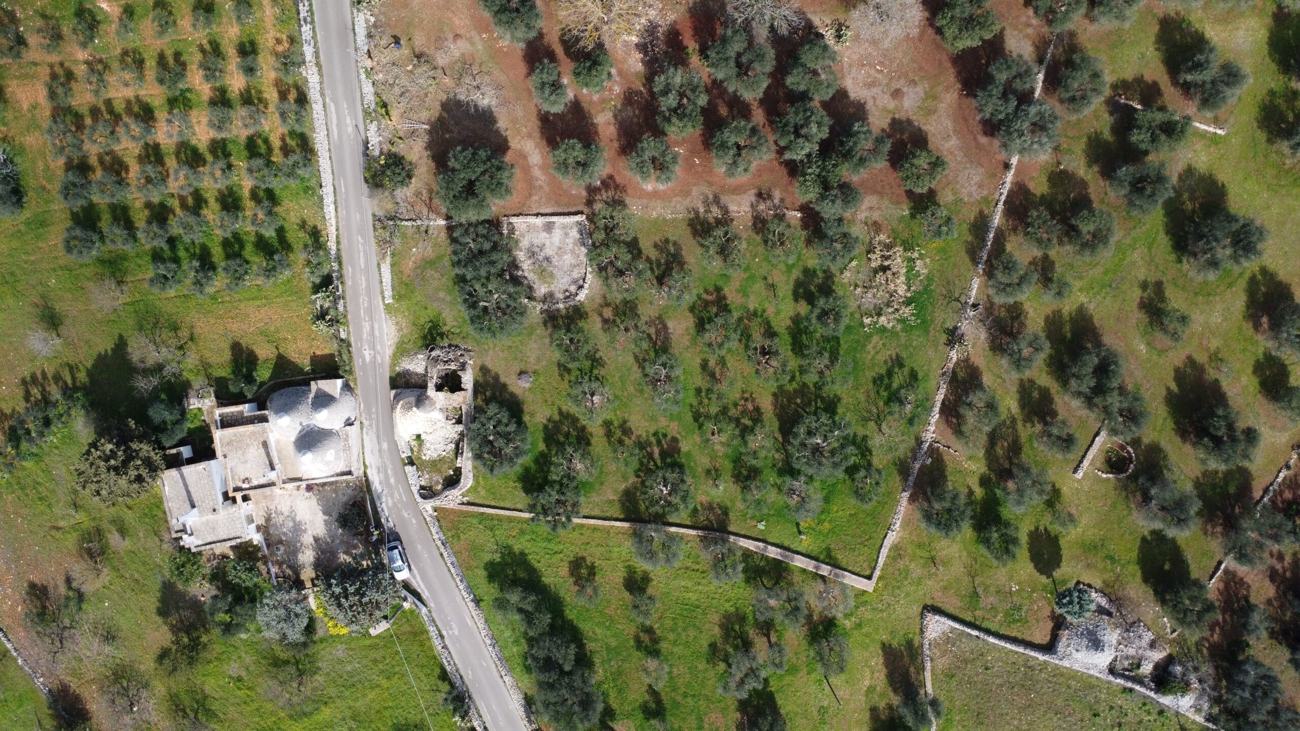DJI_0960