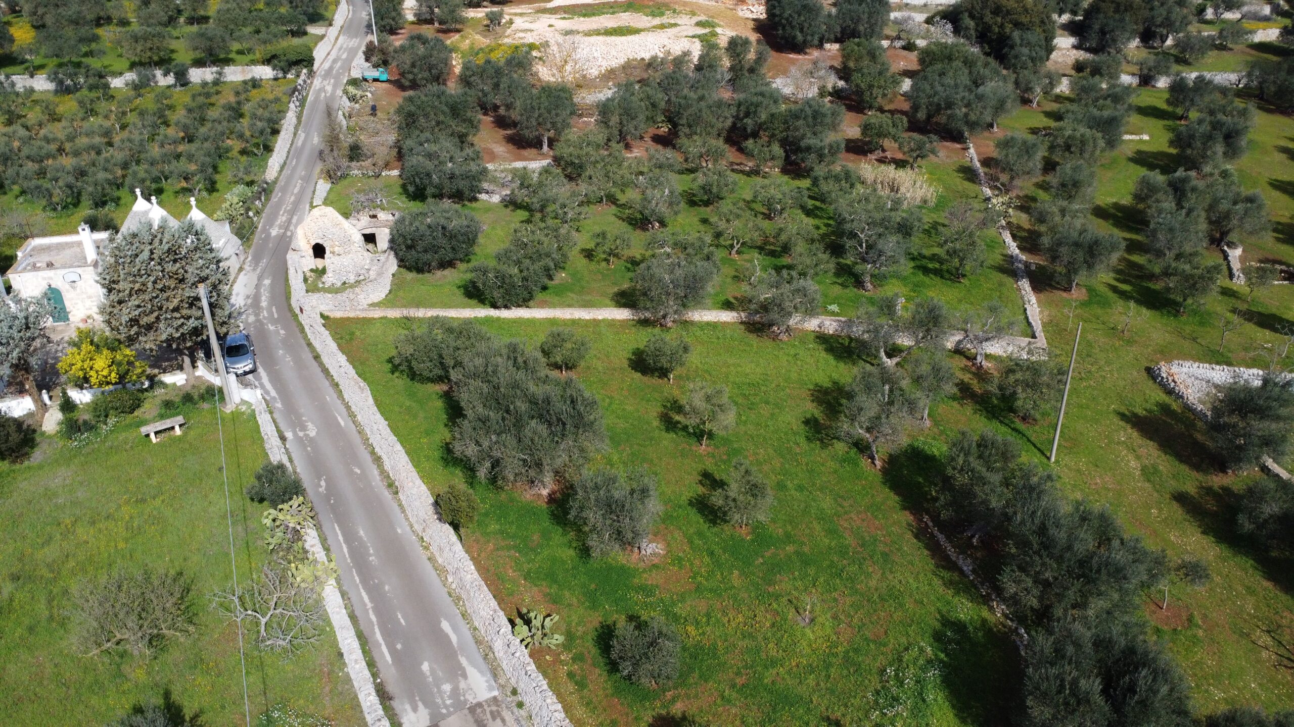 DJI_0965