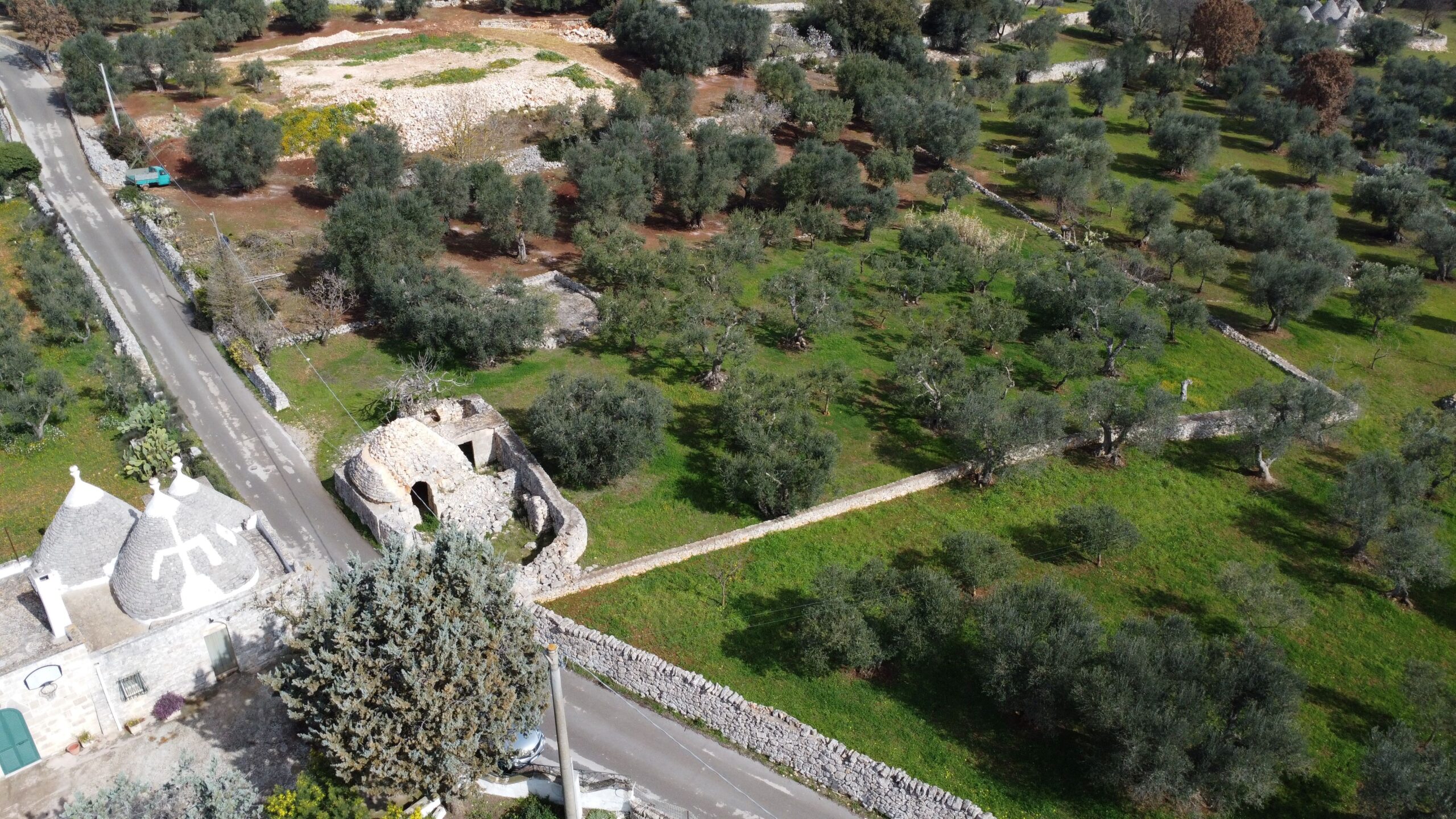DJI_0966