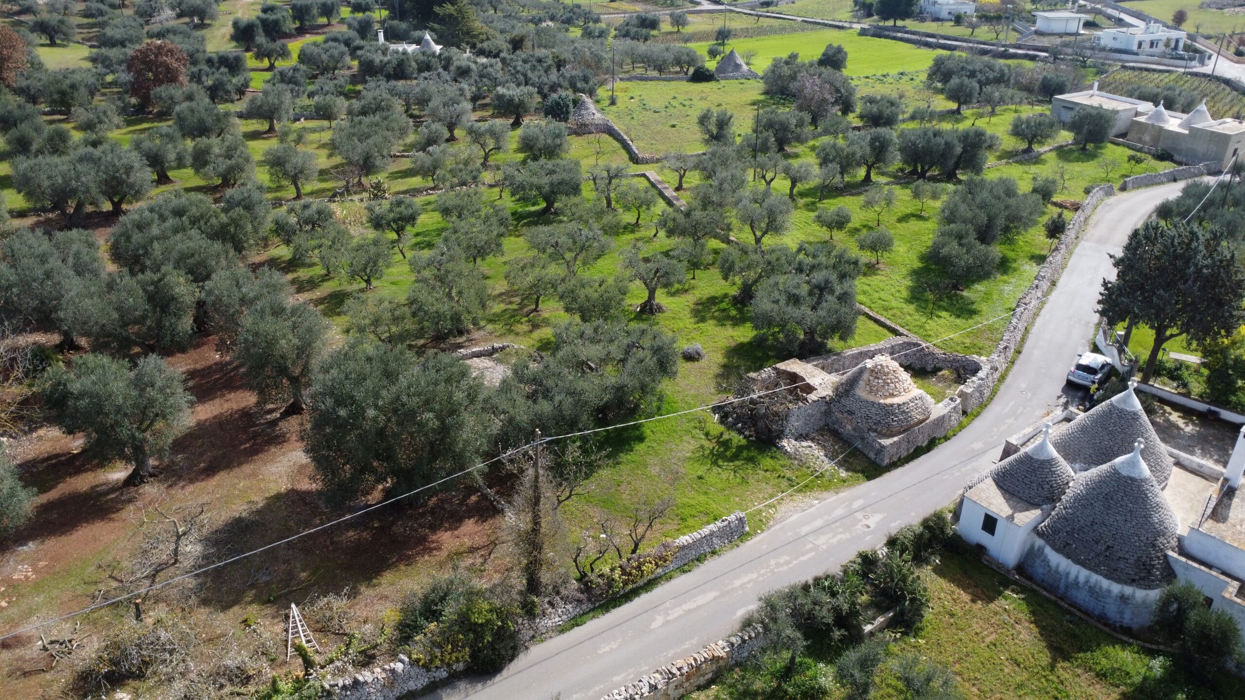 DJI_0968