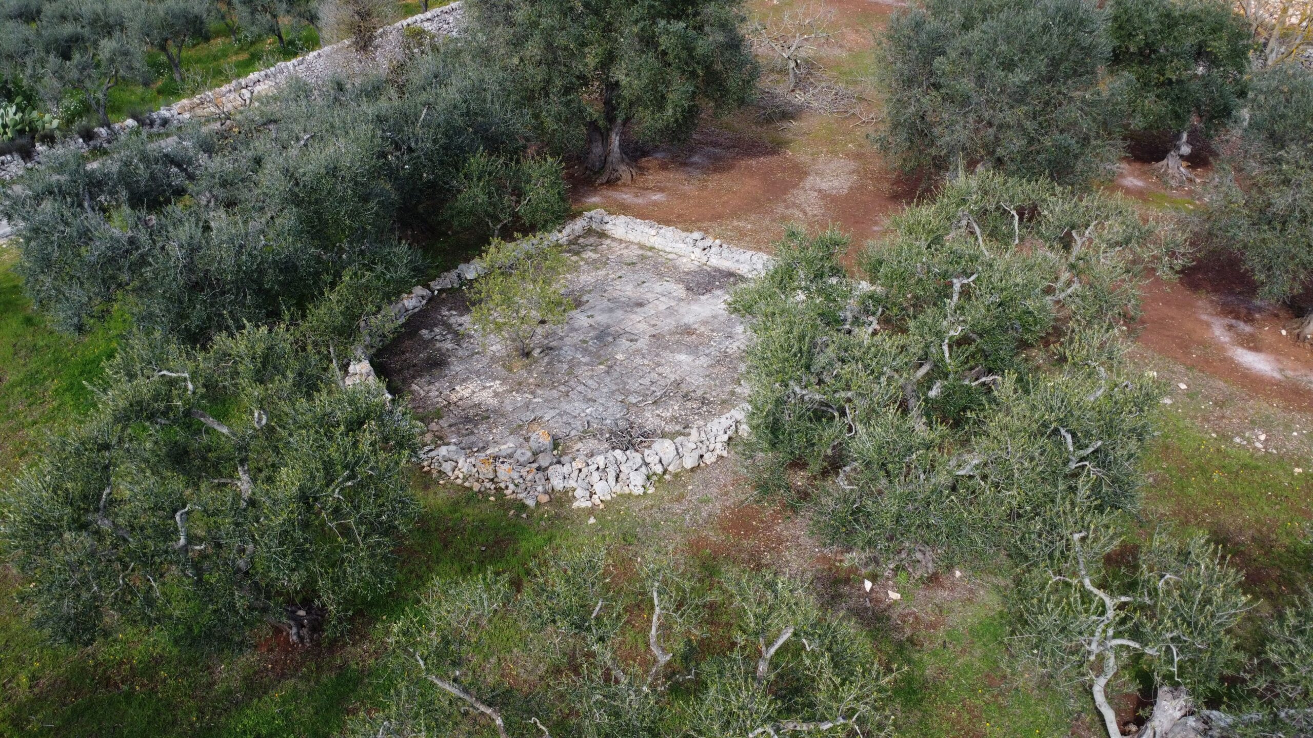 DJI_0975