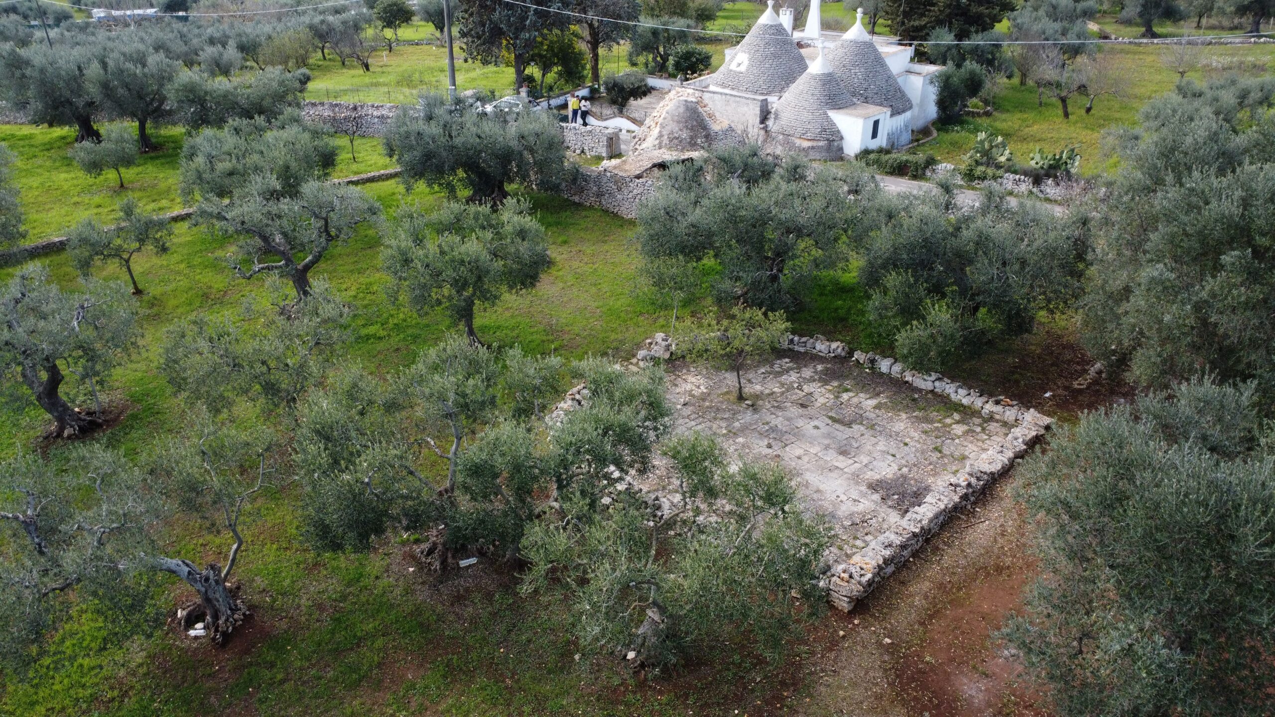 DJI_0976