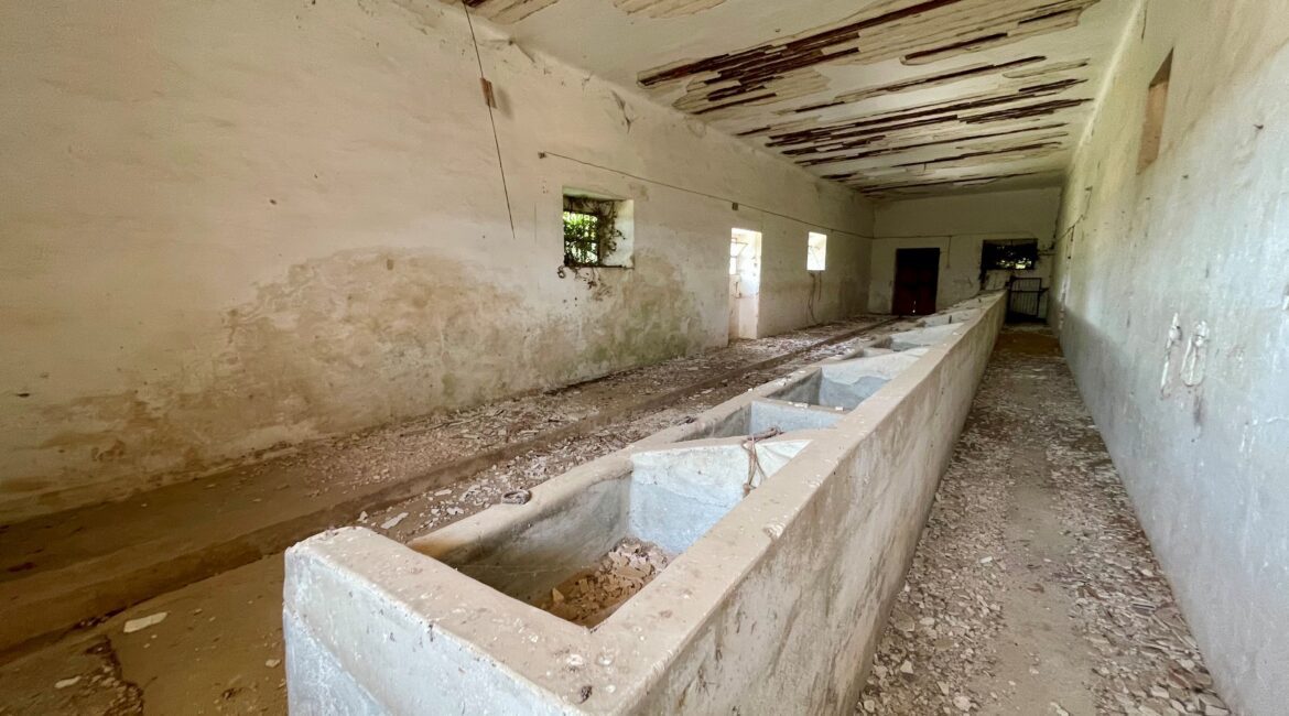 Masseria