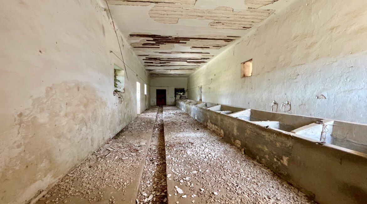 Masseria