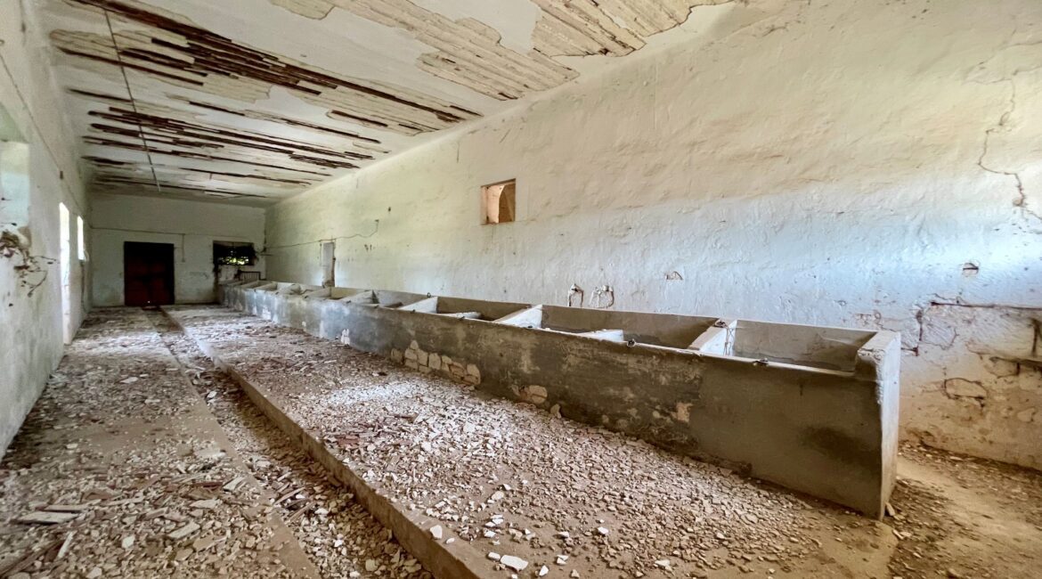 Masseria
