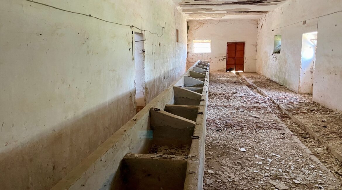 Masseria