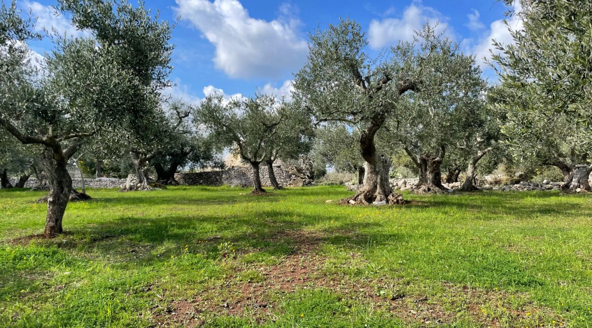 Trullo