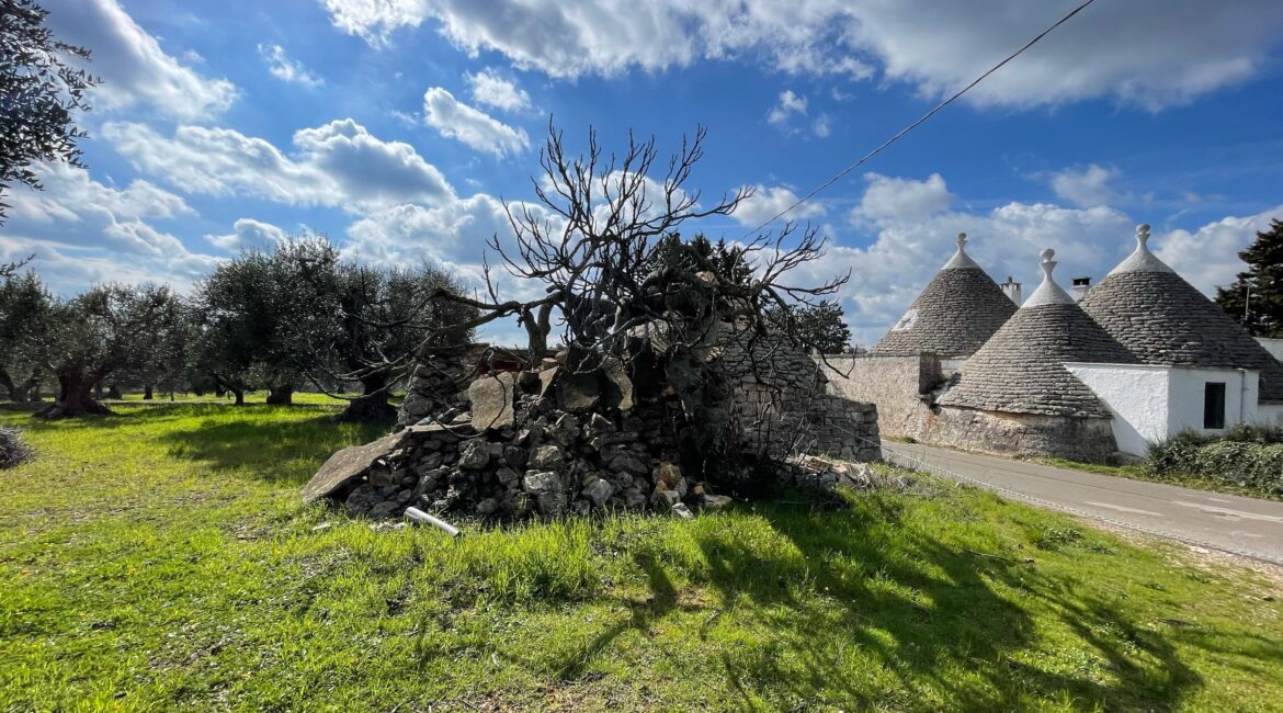 Trullo