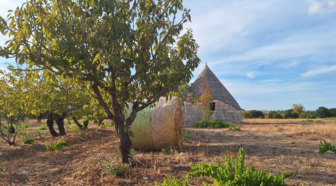 Trulli