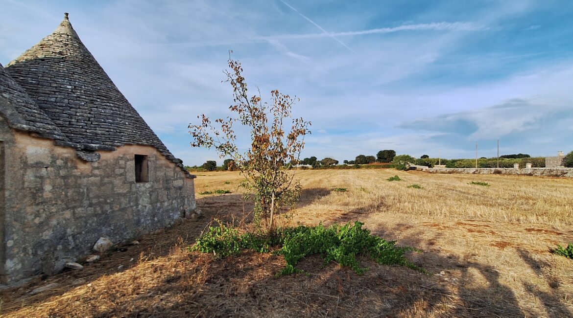 Trulli