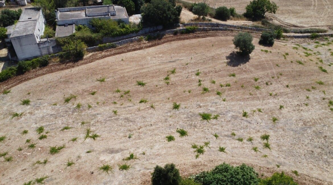 Trullo