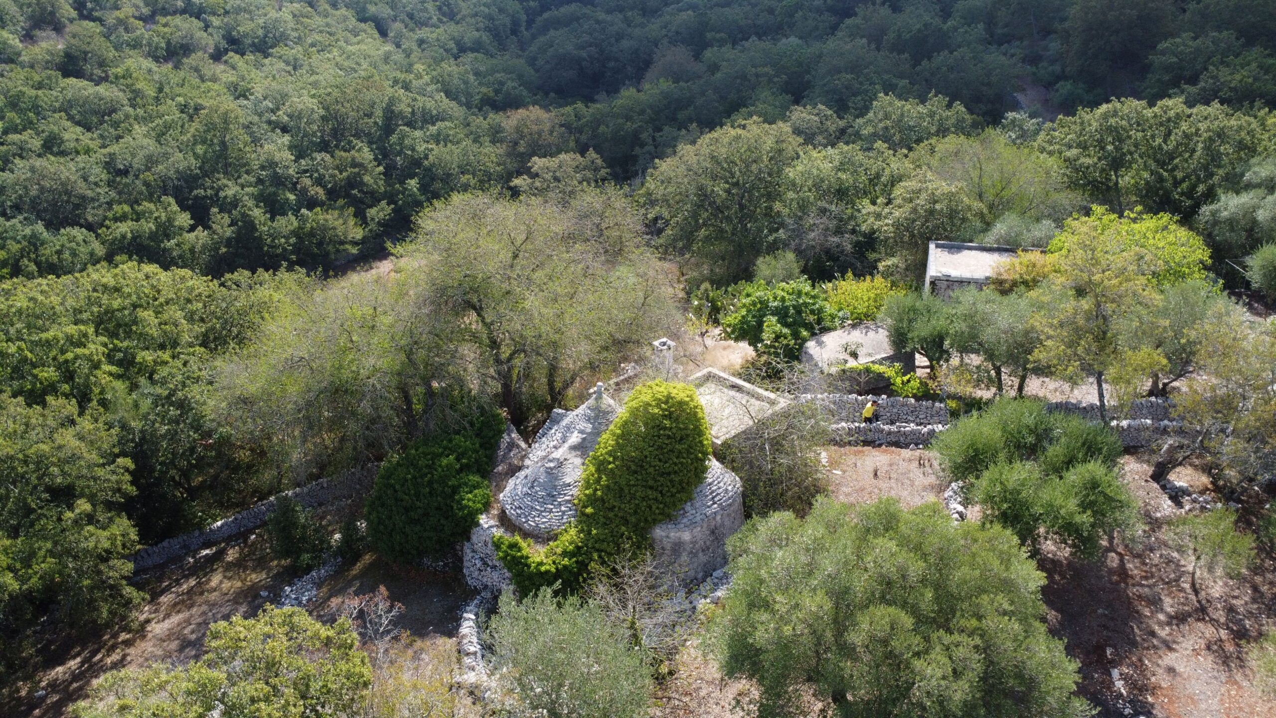 DJI_0345