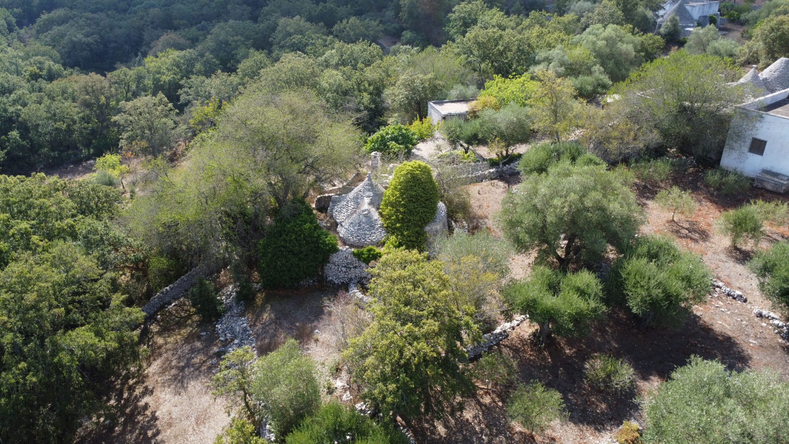 DJI_0346-1
