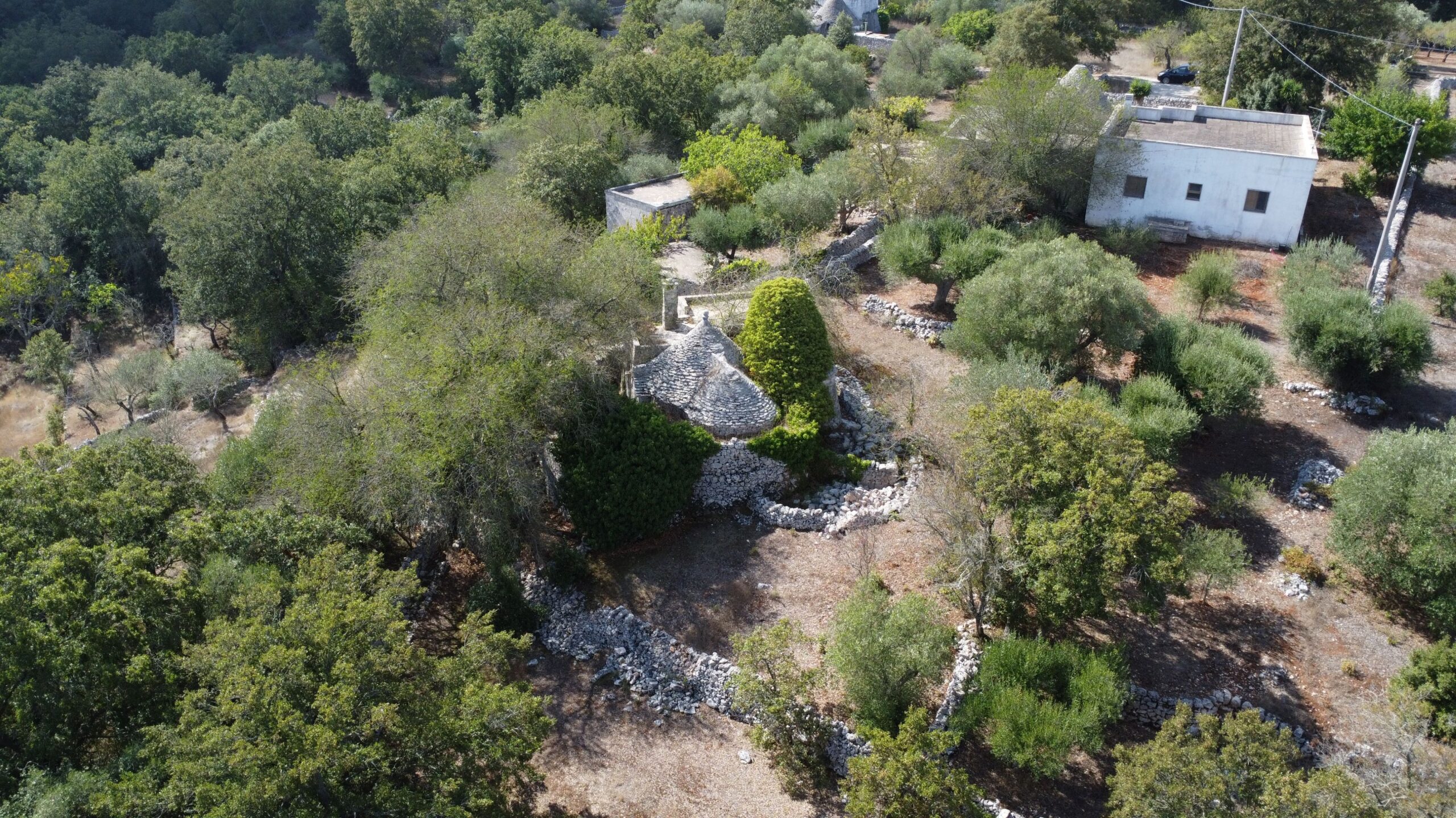 DJI_0347