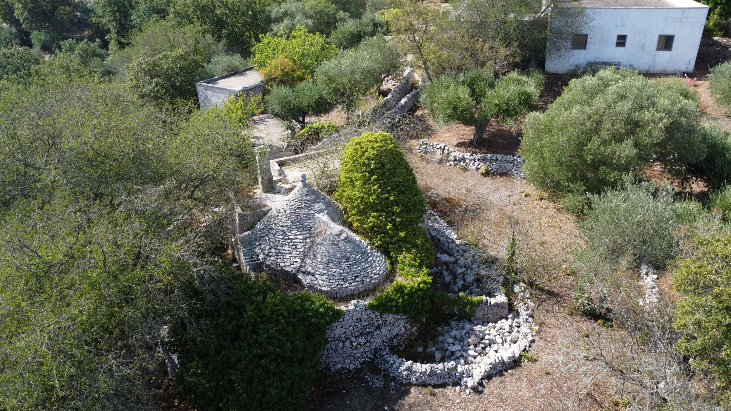 DJI_0348